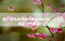 哪个网贷最好借钱而且额度高，这几个借款口子值得一试！