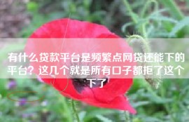 有什么贷款平台是频繁点网贷还能下的平台？这几个就是所有口子都拒了这个下了