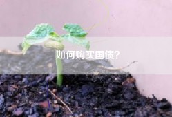 如何购买国债？