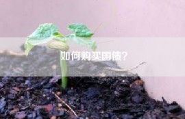 如何购买国债？