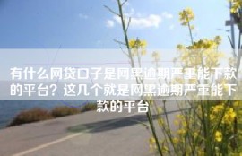 有什么网贷口子是网黑逾期严重能下款的平台？这几个就是网黑逾期严重能下款的平台