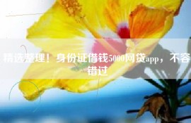 精选整理！身份证借钱5000网贷app，不容错过