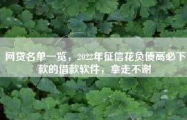 网贷名单一览，2022年征信花负债高必下款的借款软件，拿走不谢