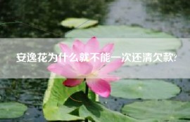 安逸花为什么就不能一次还清欠款?