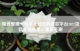 精选整理一份不上征信的贷款平台2022贷款平台名单，拿走不谢