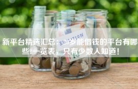 新平台精选汇总：20岁能借钱的平台有哪些?一览表，只有少数人知道！