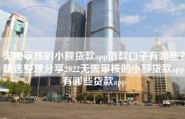 无需审核的小额贷款app借款口子有哪些？精选整理分享2022无需审核的小额贷款app有哪些贷款app