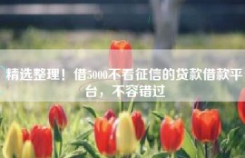 精选整理！借5000不看征信的贷款借款平台，不容错过