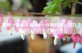 整理一份私人借3000一分钟到账，这几个网贷口子口子了解一下！