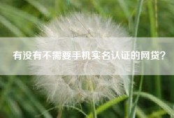 有没有不需要手机实名认证的网贷？