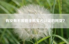 有没有不需要手机实名认证的网贷？