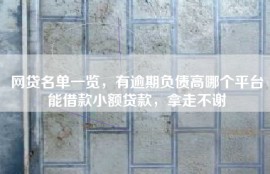 网贷名单一览，有逾期负债高哪个平台能借款小额贷款，拿走不谢