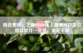 精选整理，芝麻分600以上哪里可以贷款借款软件一览表，拿走不谢