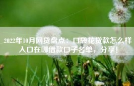 2022年10月网贷盘点：口袋花贷款怎么样入口在哪借款口子名单，分享！