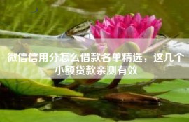 微信信用分怎么借款名单精选，这几个小额贷款亲测有效