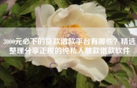 3000元必下的贷款借款平台有哪些？精选整理分享正规的纯私人放款借款软件