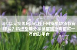 2022年无视黑白100%秒下网贷小额贷款有哪些？精选整理分享征信黑急需借款一万借款平台