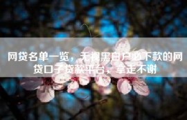 网贷名单一览，无视黑白户必下款的网贷口子贷款平台，拿走不谢