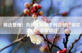 精选整理！负债太高哪个网贷能过借款平台，不容错过