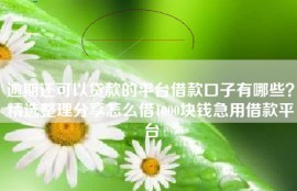 逾期还可以贷款的平台借款口子有哪些？精选整理分享怎么借1000块钱急用借款平台