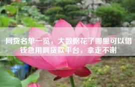 网贷名单一览，大数据花了哪里可以借钱急用啊贷款平台，拿走不谢