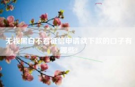 无视黑白不看征信申请就下款的口子有哪些?