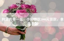 网贷名单一览，小额借款3000元贷款，拿走不谢