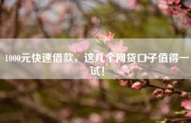 1000元快速借款，这几个网贷口子值得一试！