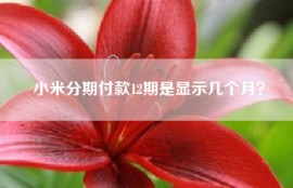 小米分期付款12期是显示几个月？