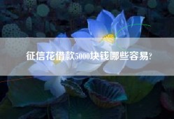 征信花借款5000块钱哪些容易?