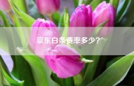 京东白条费率多少？