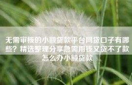 无需审核的小额贷款平台网贷口子有哪些？精选整理分享急需用钱又贷不了款怎么办小额贷款