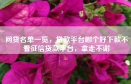 网贷名单一览，贷款平台哪个好下款不看征信贷款平台，拿走不谢