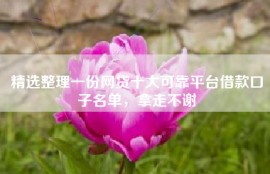 精选整理一份网贷十大可靠平台借款口子名单，拿走不谢