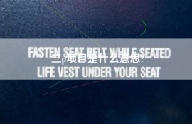 三p项目是什么意思?