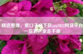 精选整理，黑口子必下款app2022网贷平台一览表，拿走不谢