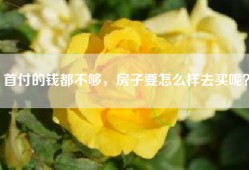 首付的钱都不够，房子要怎么样去买呢？