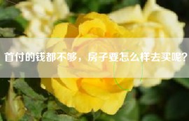 首付的钱都不够，房子要怎么样去买呢？