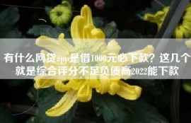 有什么网贷app是借1000元必下款？这几个就是综合评分不足负债高2022能下款