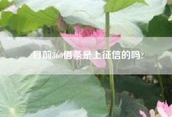 目前360借条是上征信的吗?