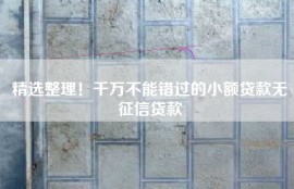 精选整理！千万不能错过的小额贷款无征信贷款