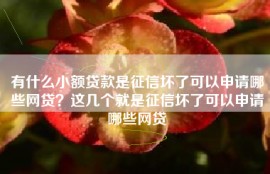 有什么小额贷款是征信坏了可以申请哪些网贷？这几个就是征信坏了可以申请哪些网贷