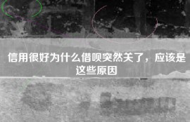 信用很好为什么借呗突然关了，应该是这些原因