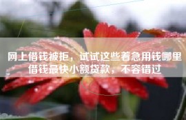 网上借钱被拒，试试这些着急用钱哪里借钱最快小额贷款，不容错过