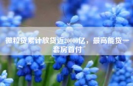 微粒贷累计放贷近20000亿，最高能贷一套房首付