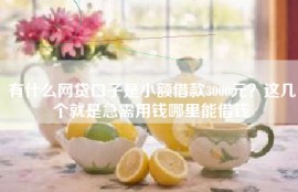有什么网贷口子是小额借款3000元？这几个就是急需用钱哪里能借钱