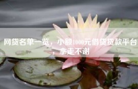 网贷名单一览，小额1000元借贷贷款平台，拿走不谢