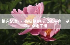 精选整理，小额贷款3000元贷款平台一览表，拿走不谢