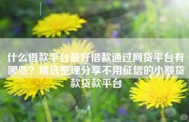 什么借款平台最好借款通过网贷平台有哪些？精选整理分享不用征信的小额贷款贷款平台
