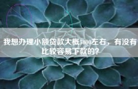 我想办理小额贷款大概5000左右，有没有比较容易下款的？